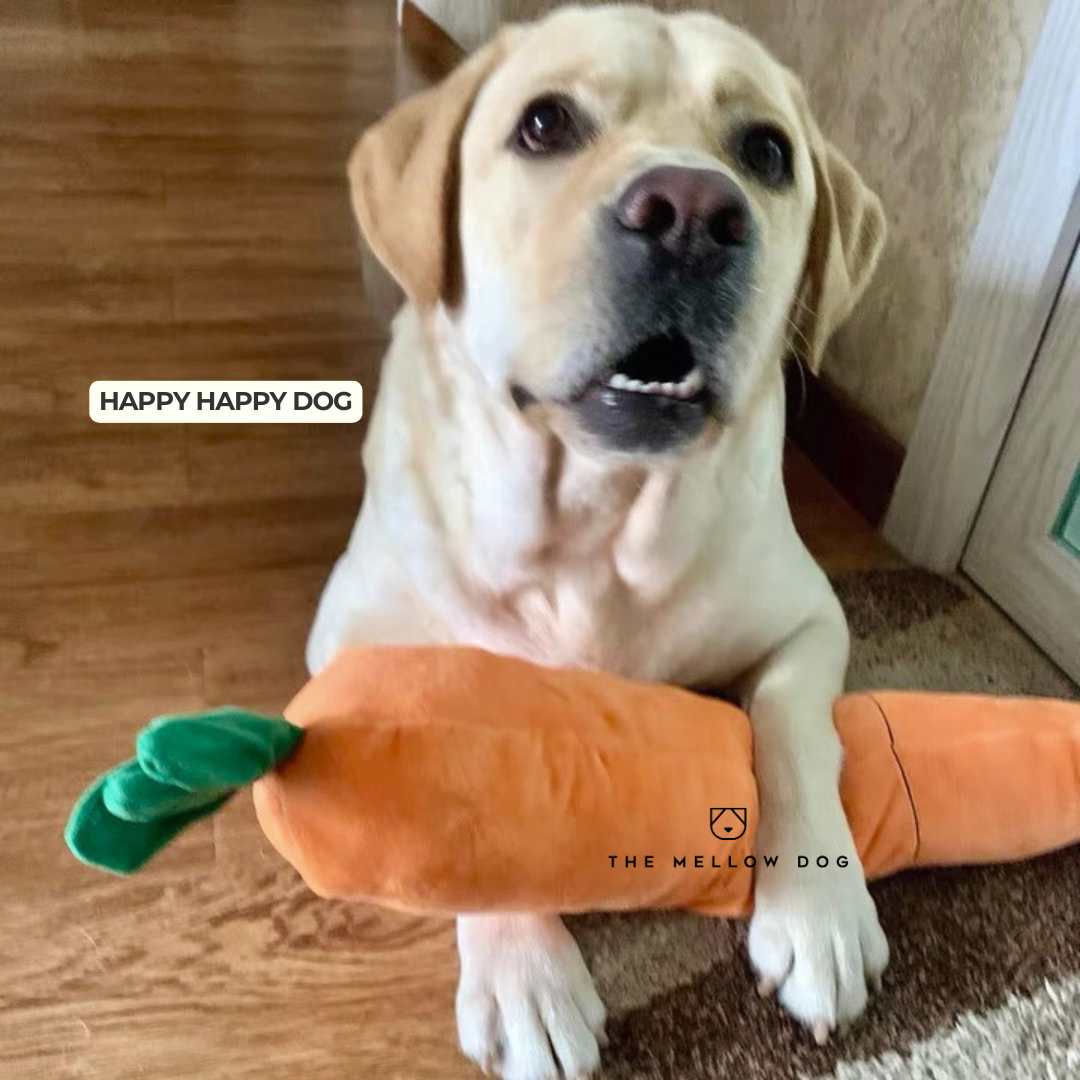 Calming Carrot
