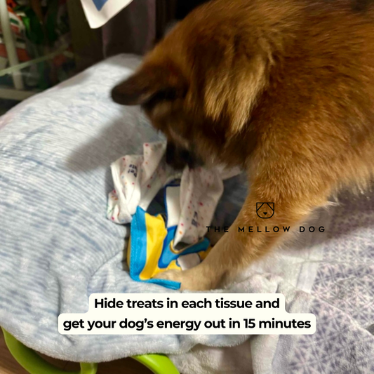 Sniffing Tissue