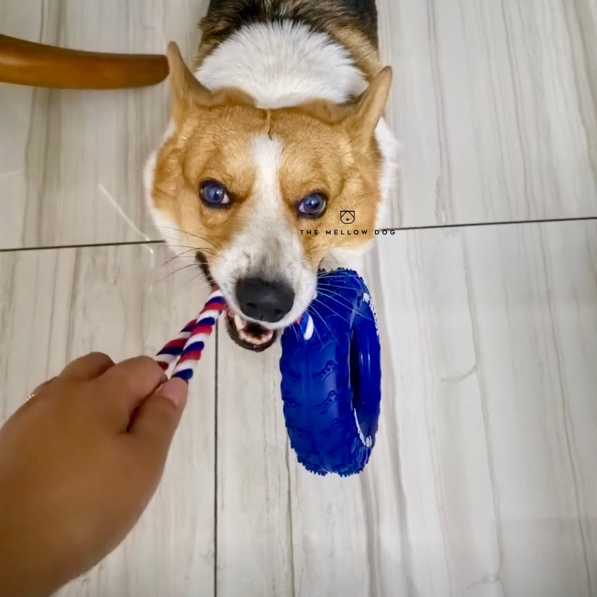 Pupchelin