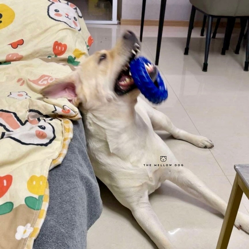 Pupchelin