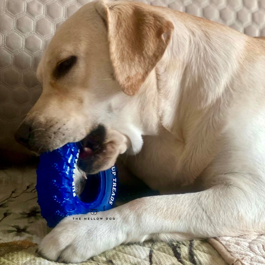Pupchelin