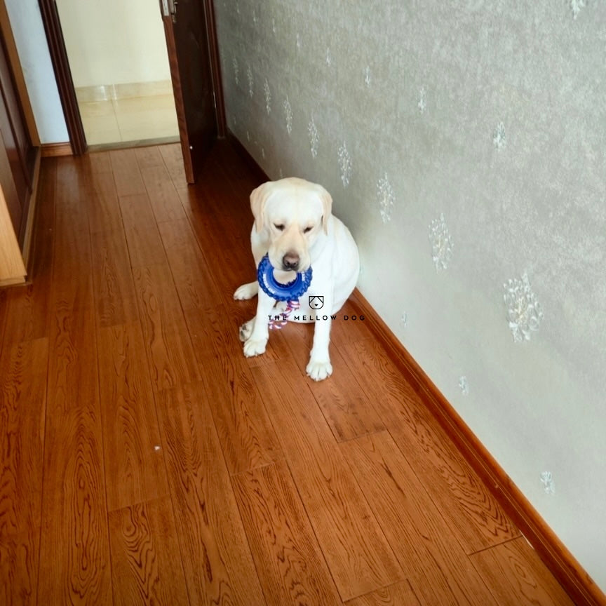 Pupchelin