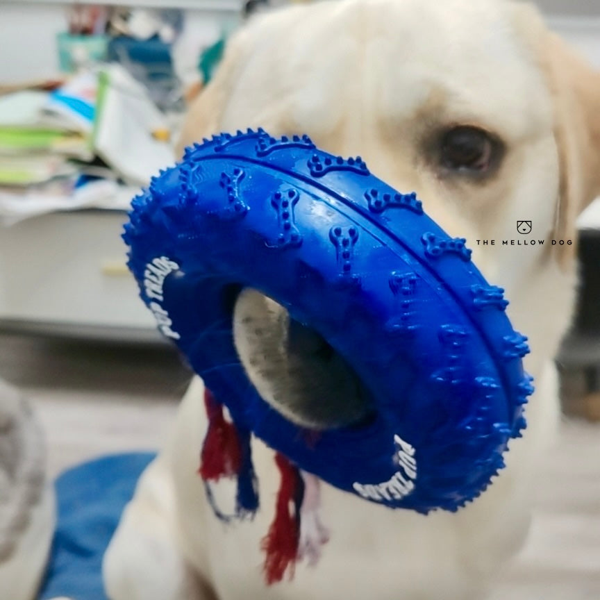 Pupchelin