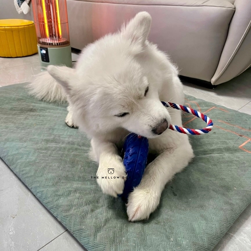 Pupchelin