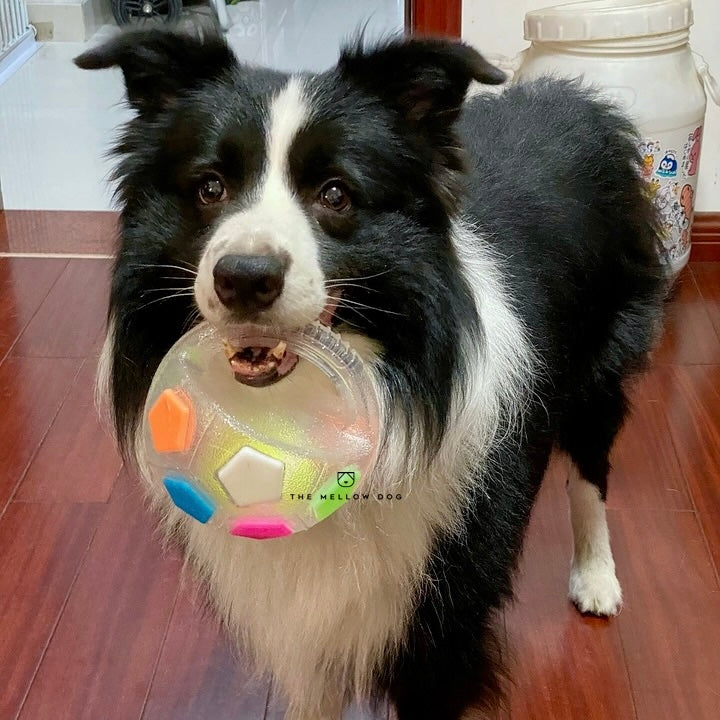 Calming Ball