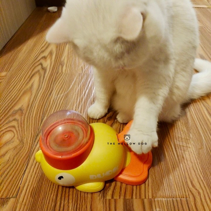 Step Me Duck