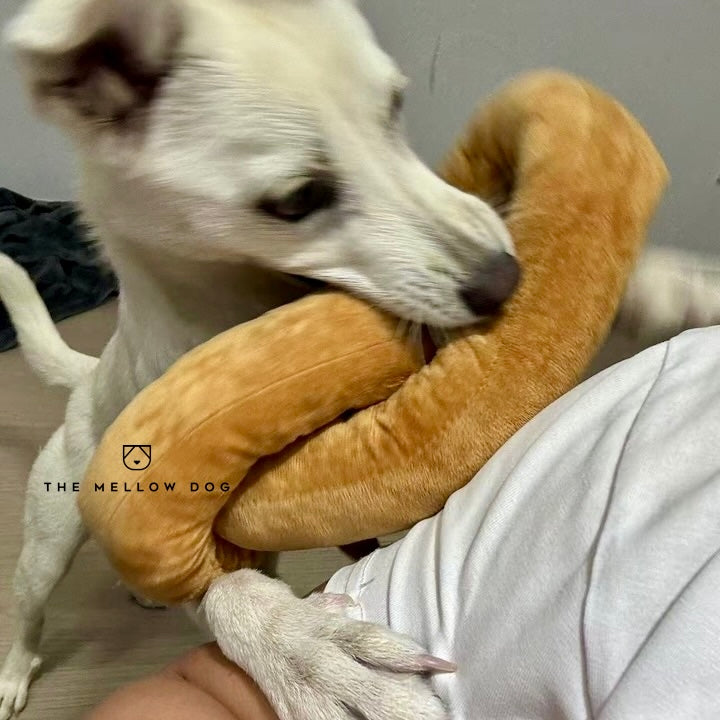 Calming Dachshund