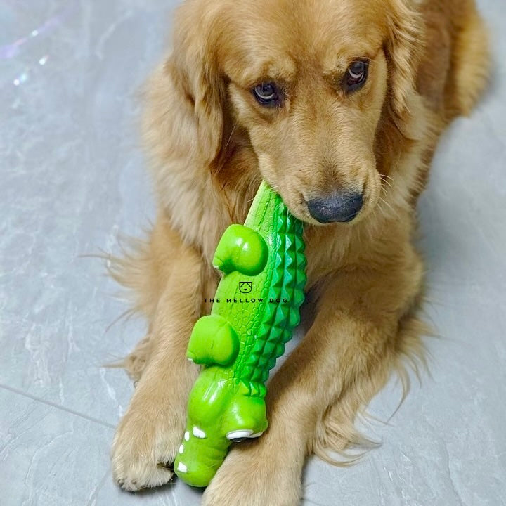 Calming Crocodile