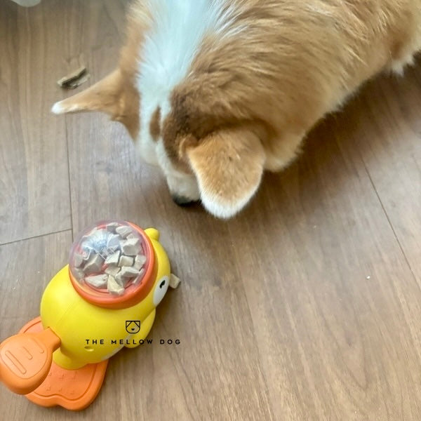 Step Me Duck