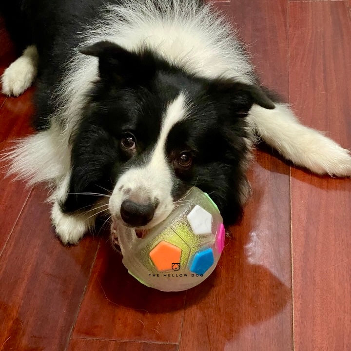Calming Ball
