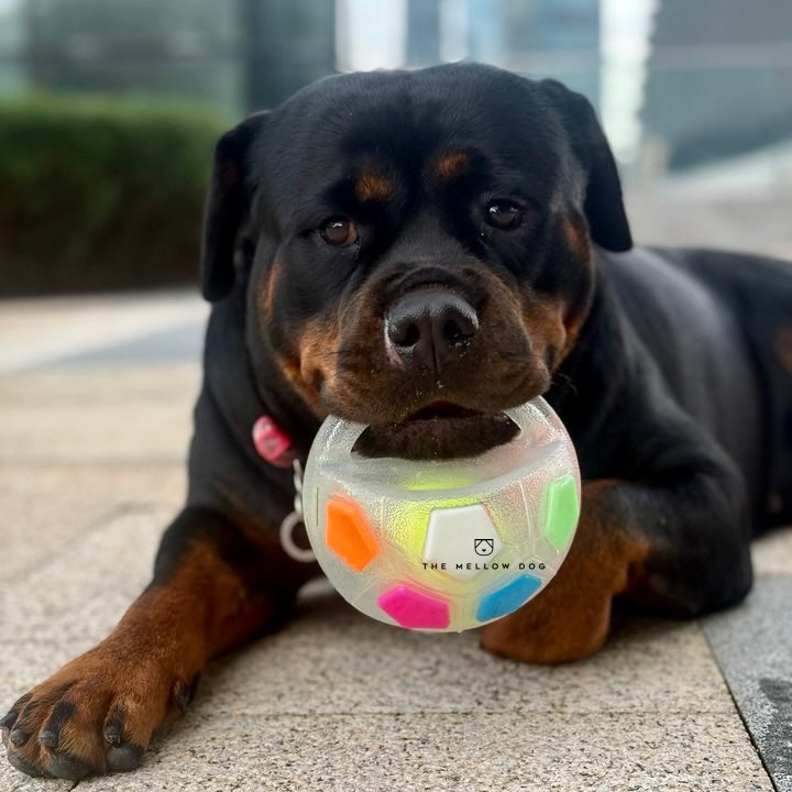Calming Ball