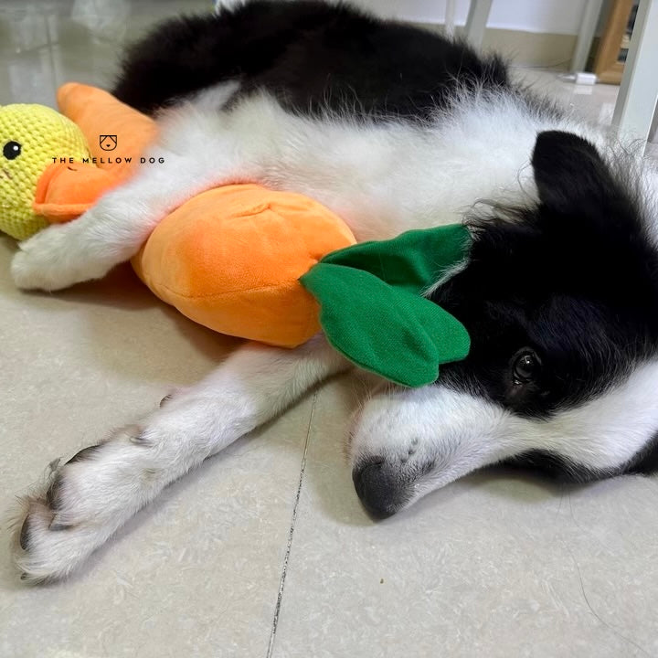 Calming Carrot