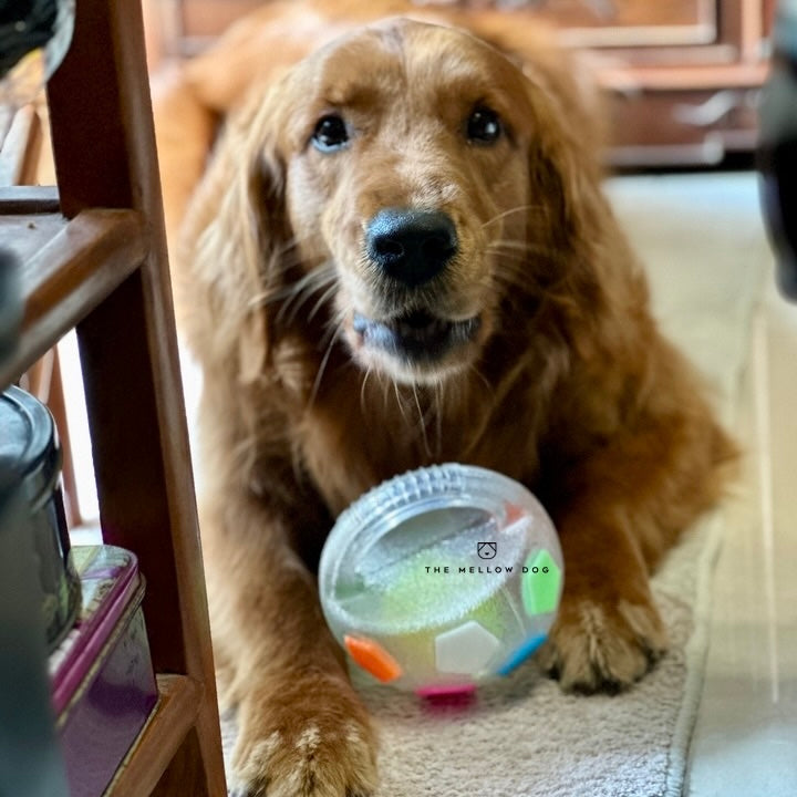 Calming Ball