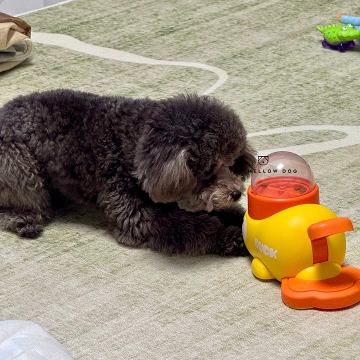 Step Me Duck