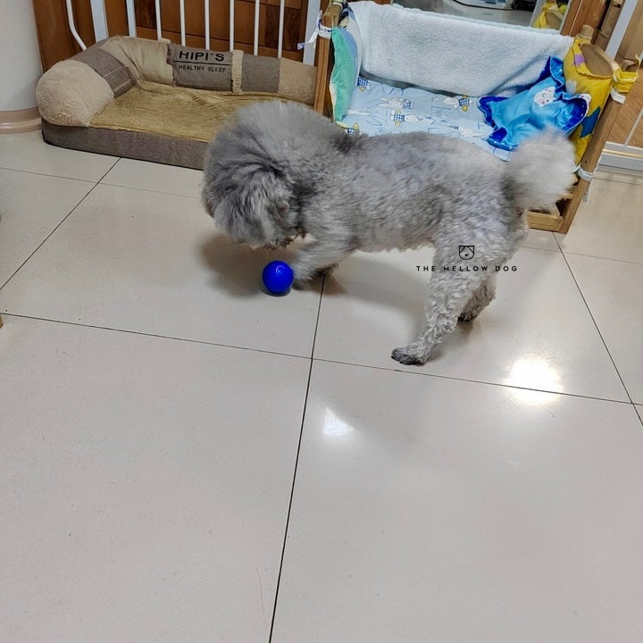 Self Rolling Smart Ball