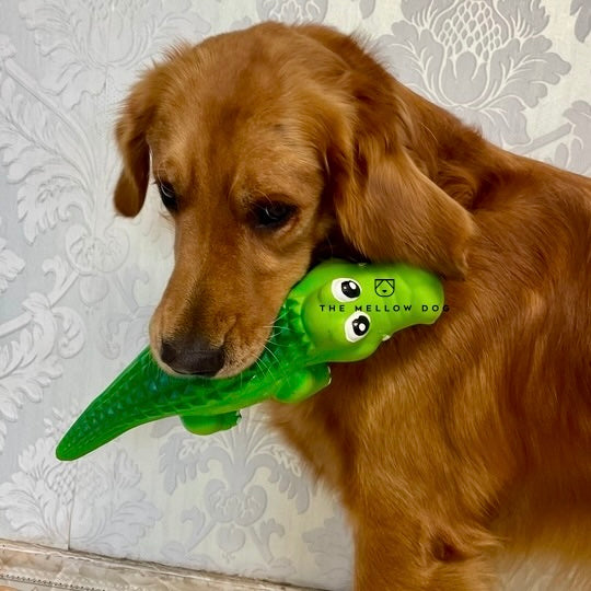 Calming Crocodile