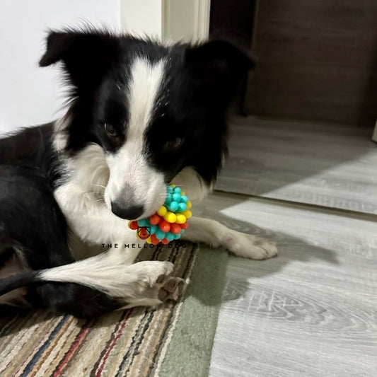 Anti Bad Breath Ball