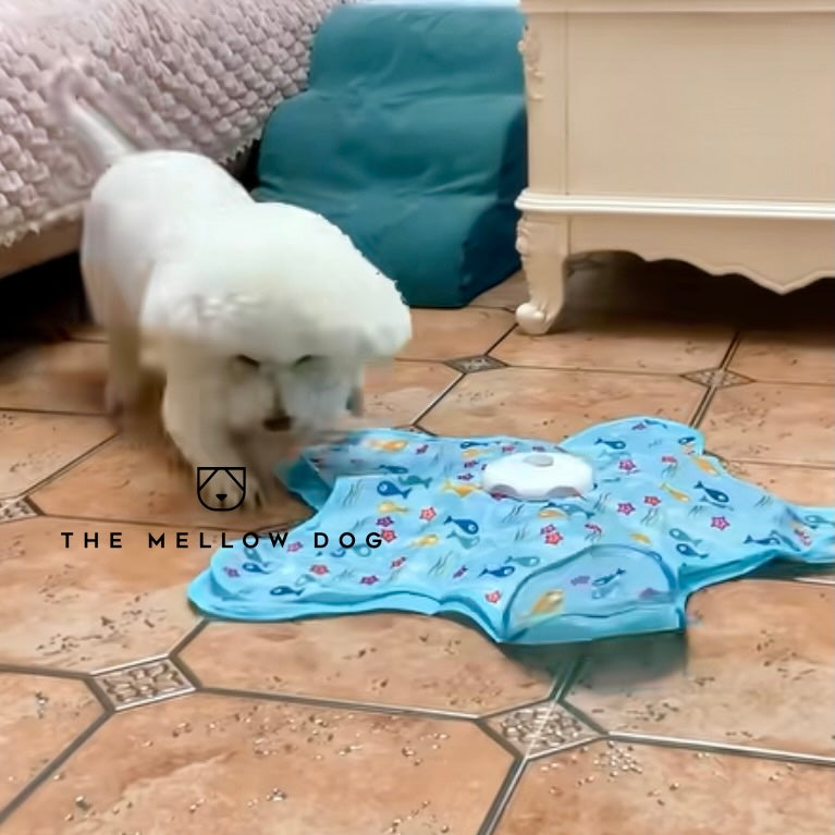 Teasing UFO