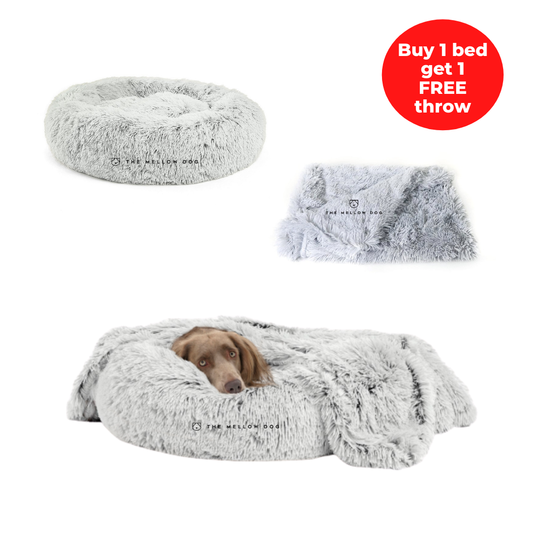 Free sales dog bed