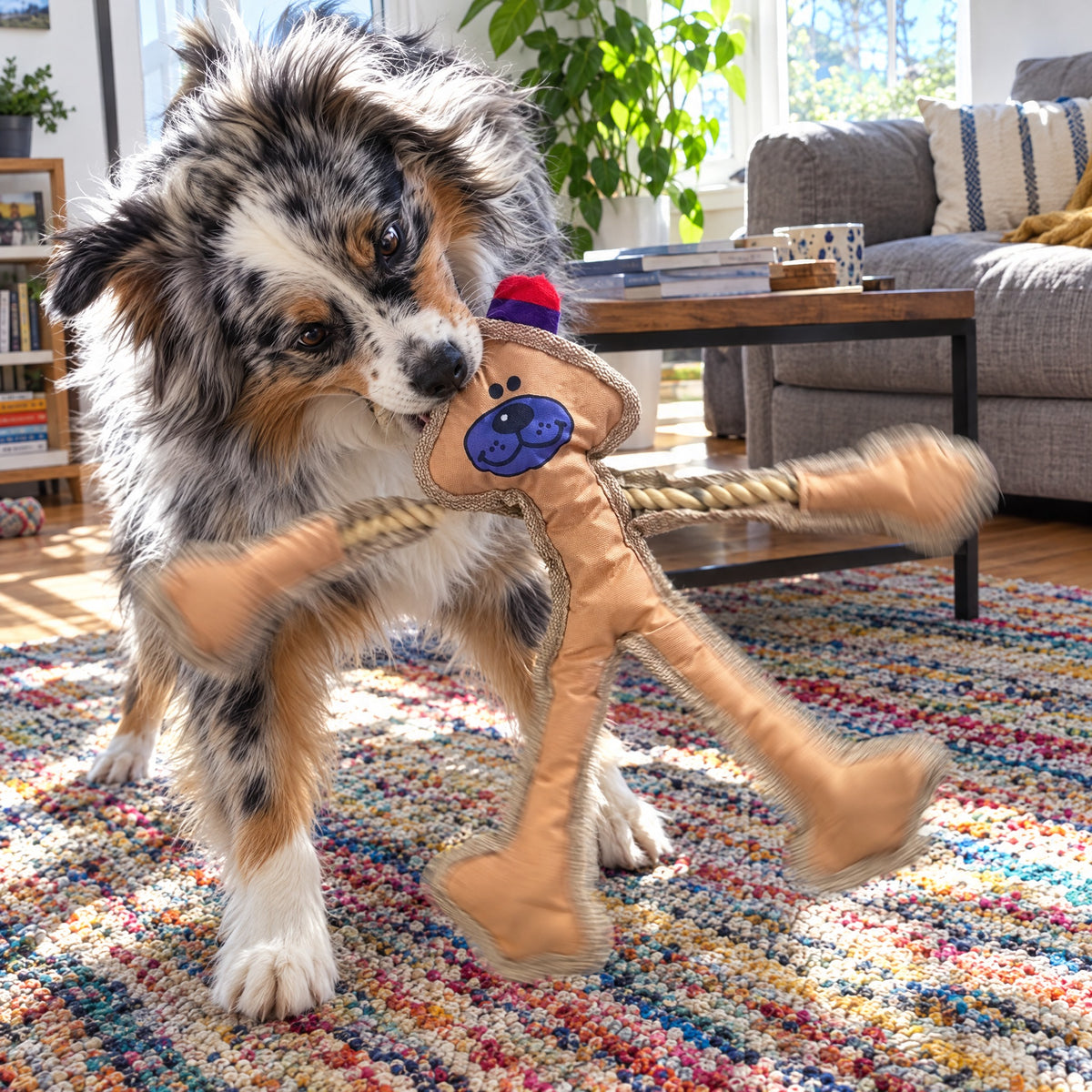 Human Dog