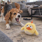 Side-Eye Chick
