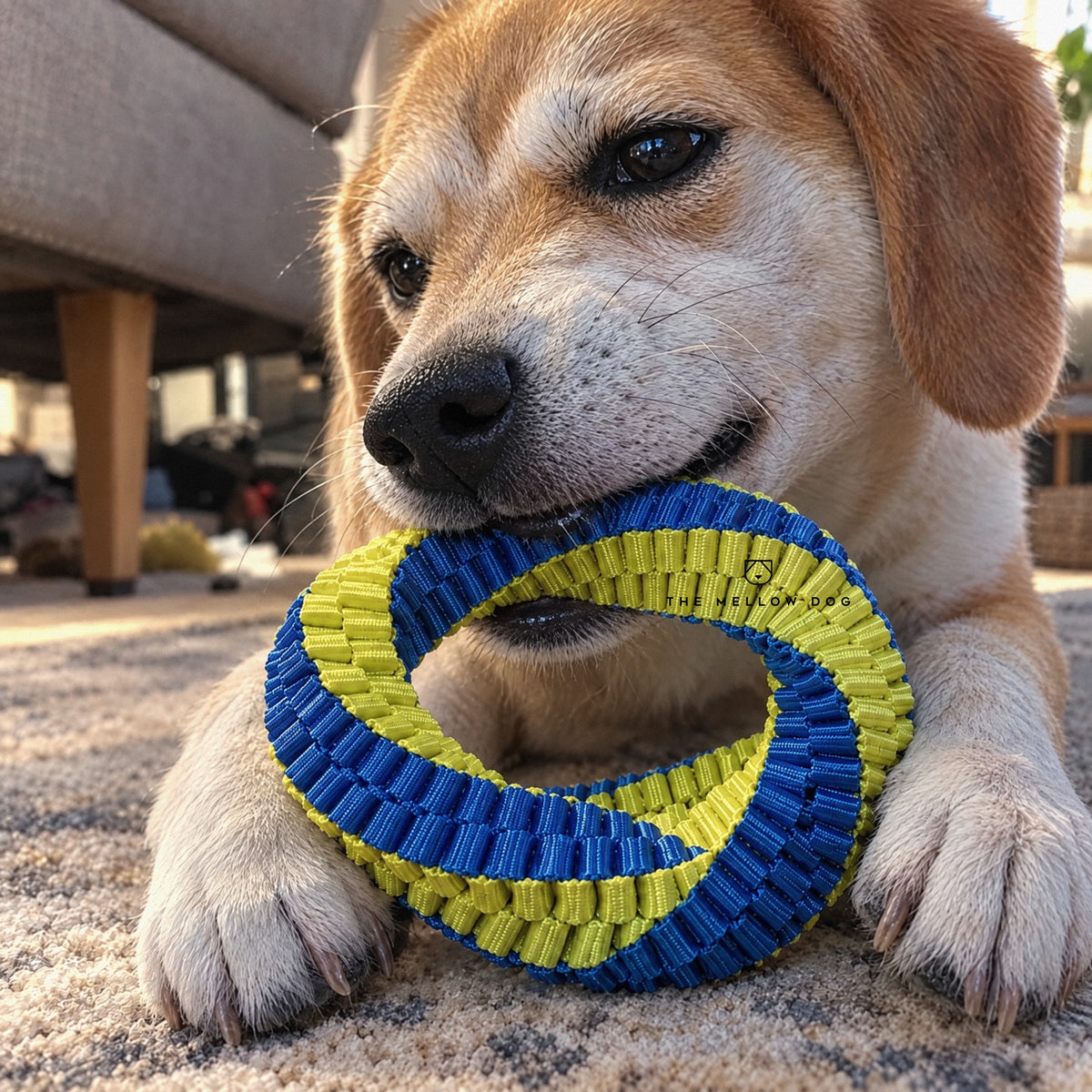 Teeth Cleaning Ring