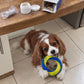 Teeth Cleaning Ring