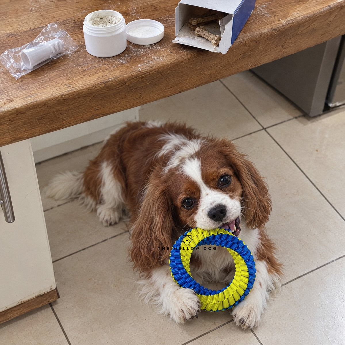 Teeth Cleaning Ring