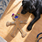 Human Dog