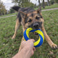 Teeth Cleaning Ring