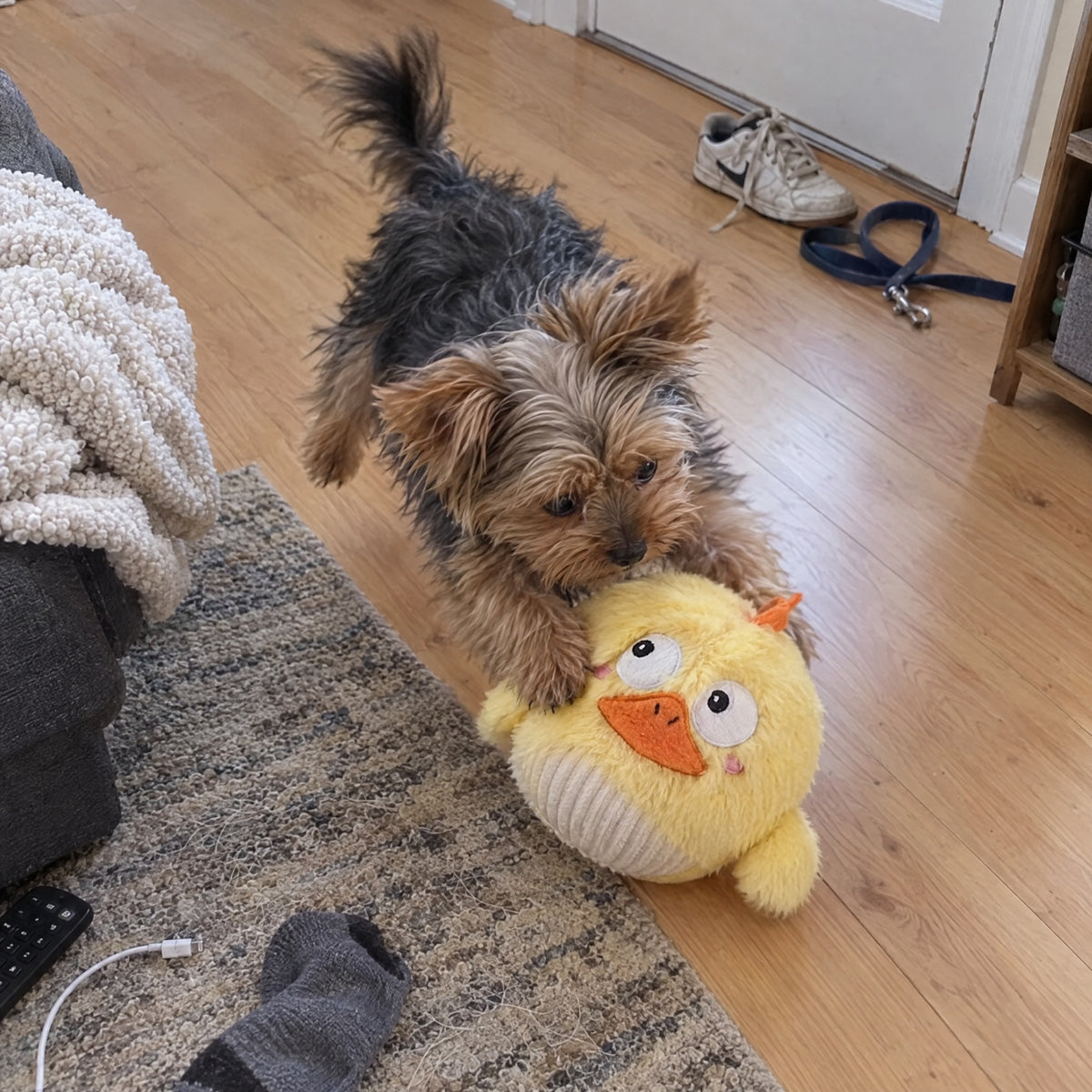 Side-Eye Chick