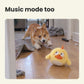 Side-Eye Chick