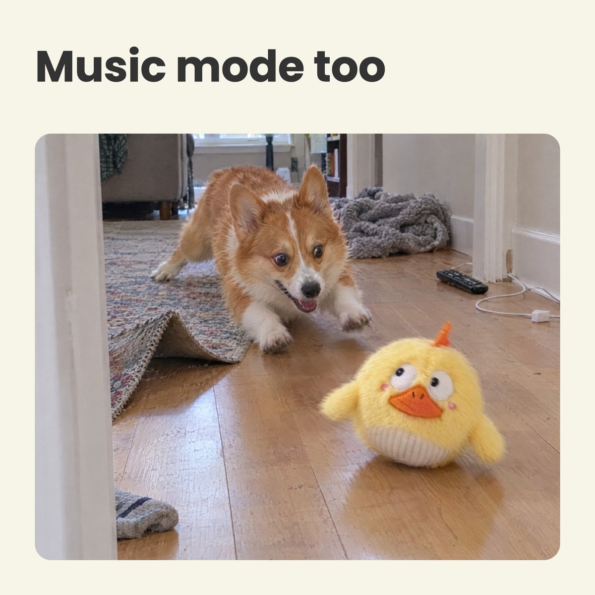 Side-Eye Chick