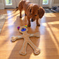 Human Dog