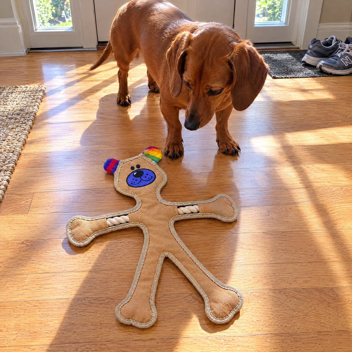 Human Dog