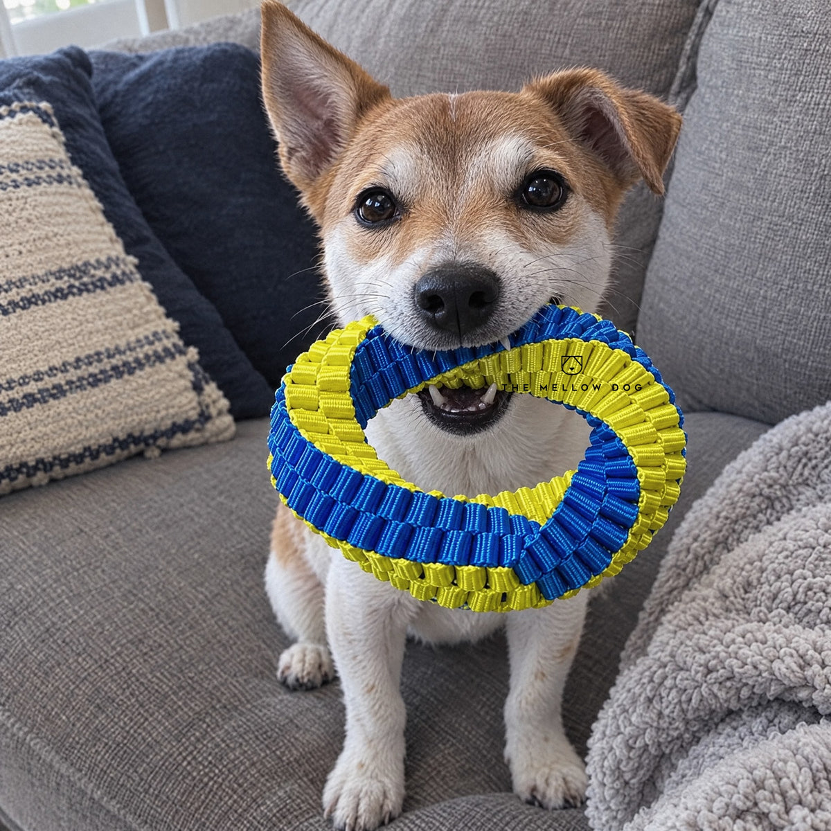Teeth Cleaning Ring