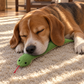 Calming Snake