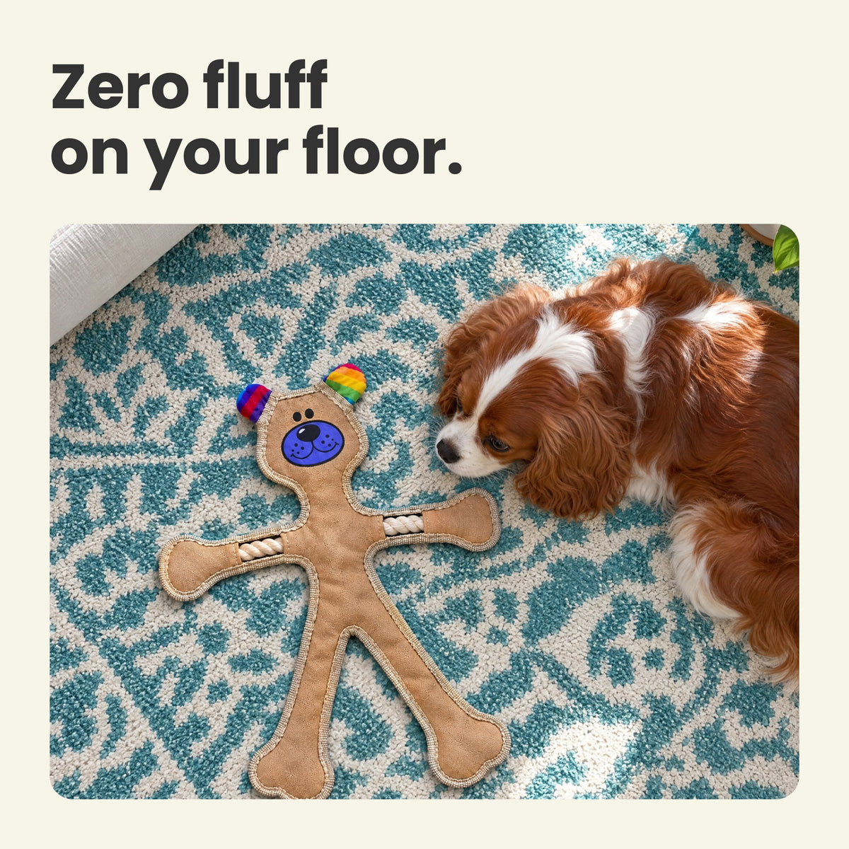 Human Dog