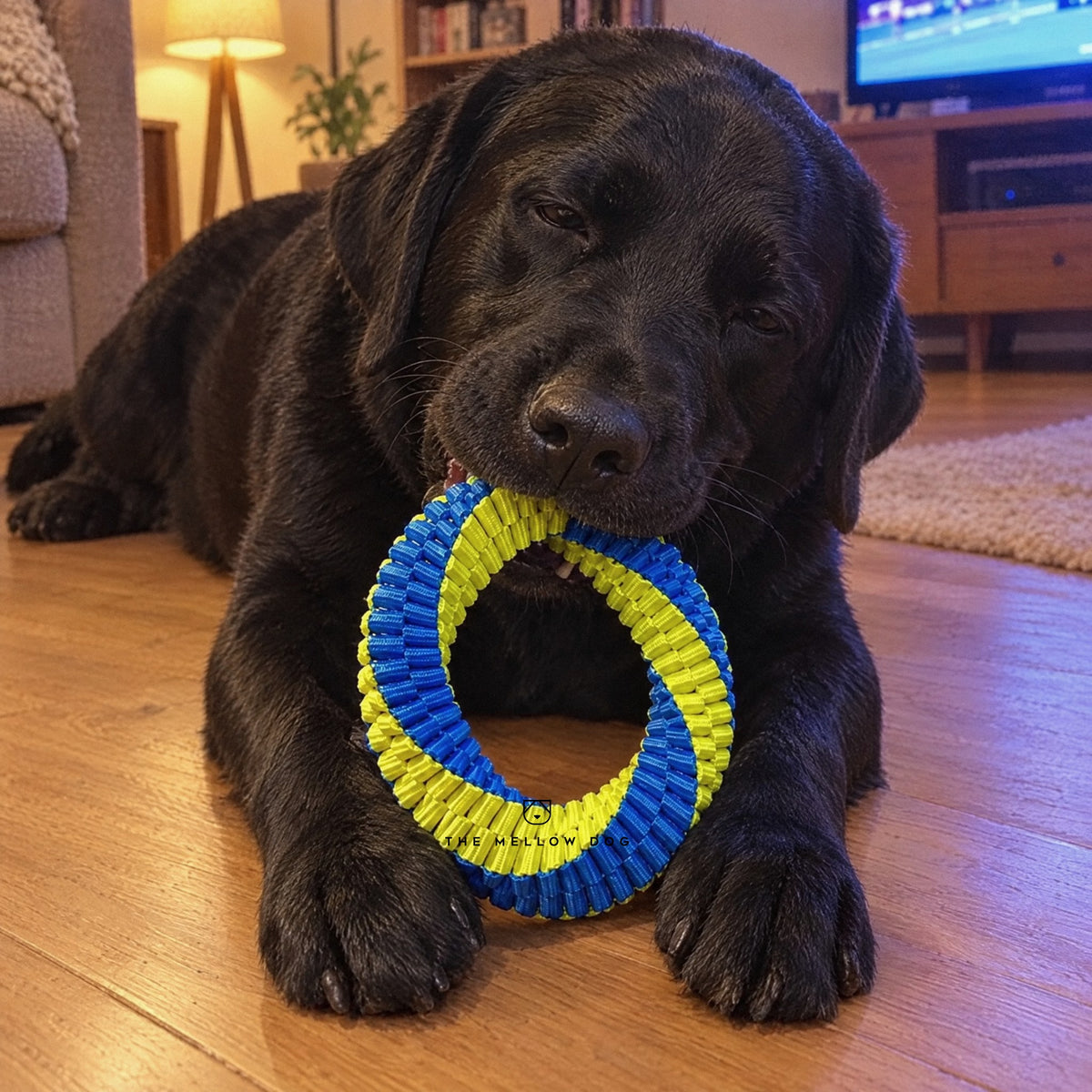 Teeth Cleaning Ring