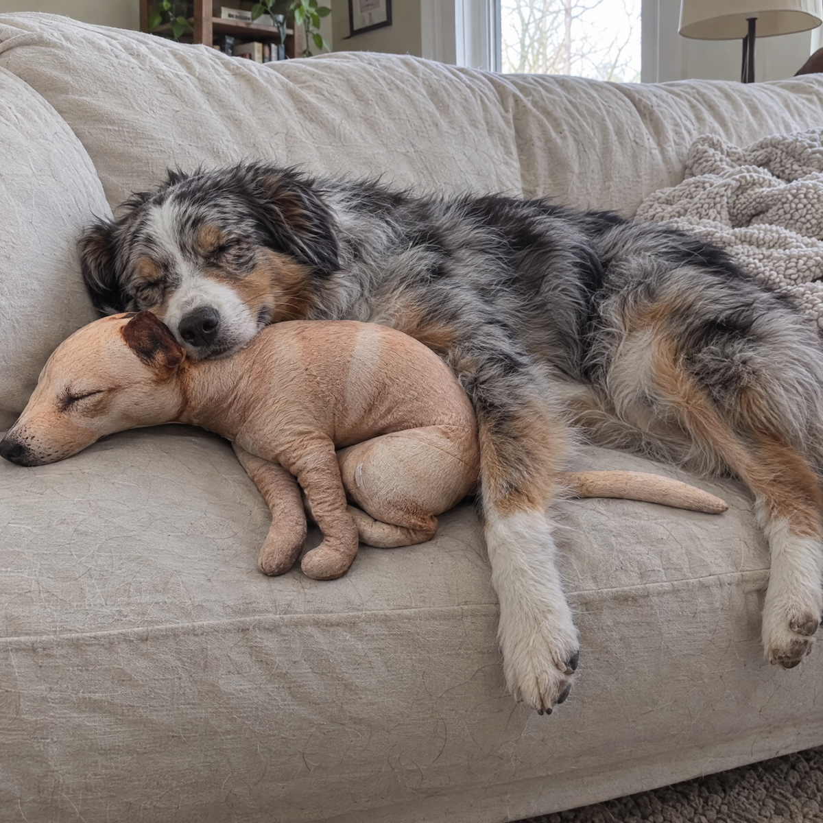 Real Dog