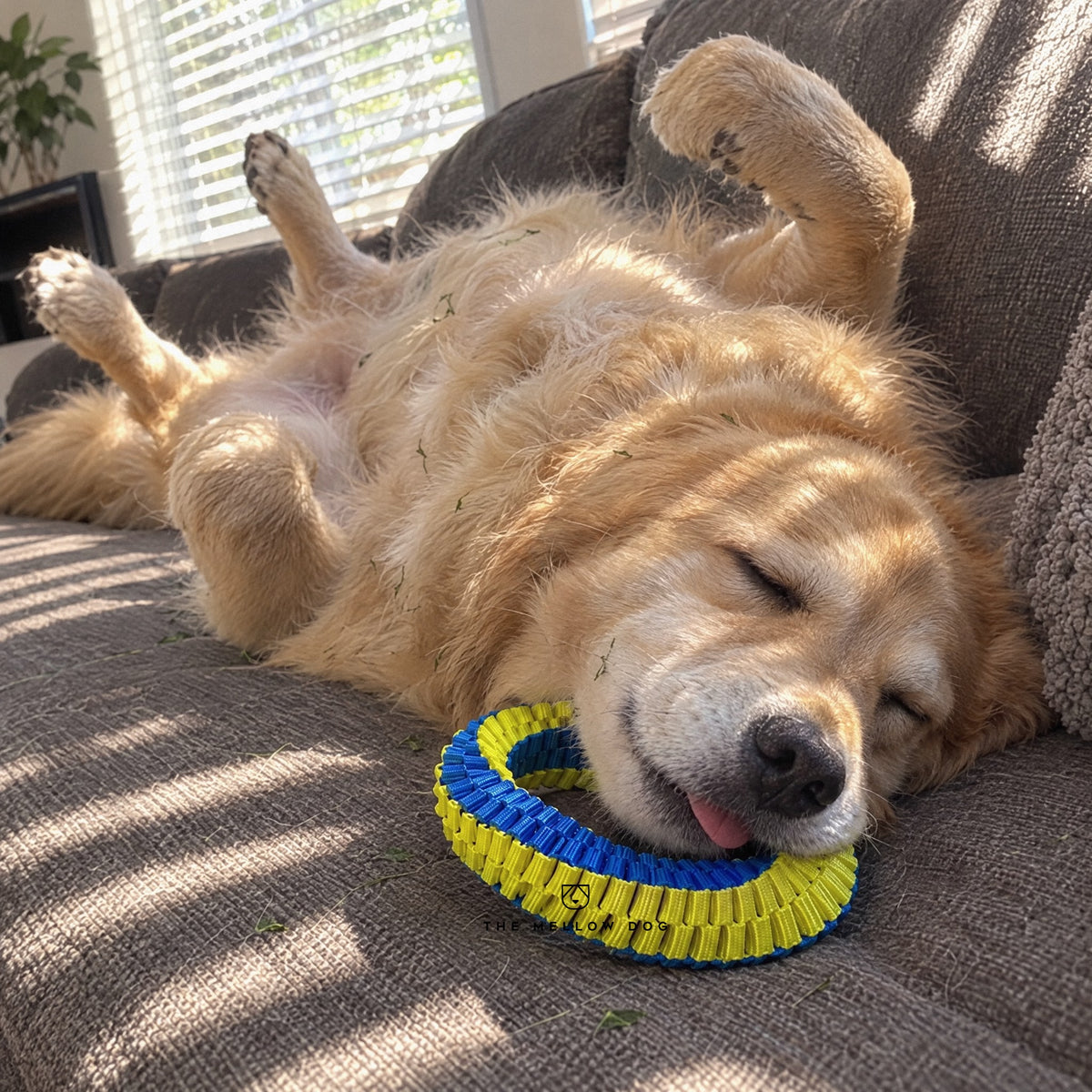 Teeth Cleaning Ring