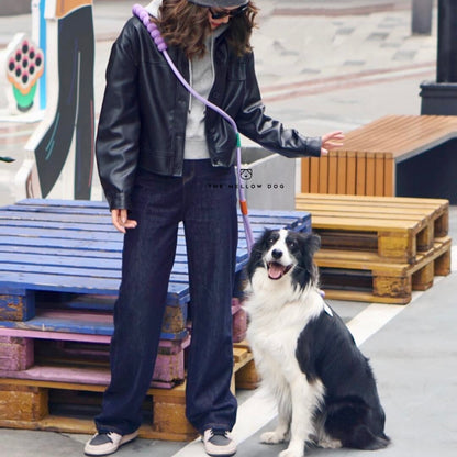 Bubblegum Leash