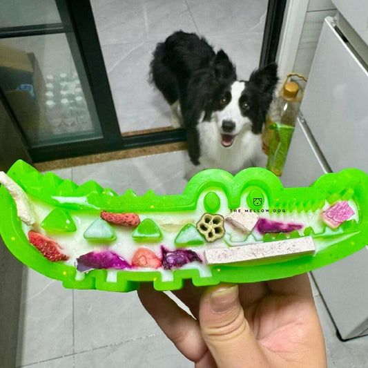 Anti Boredom Crocodile