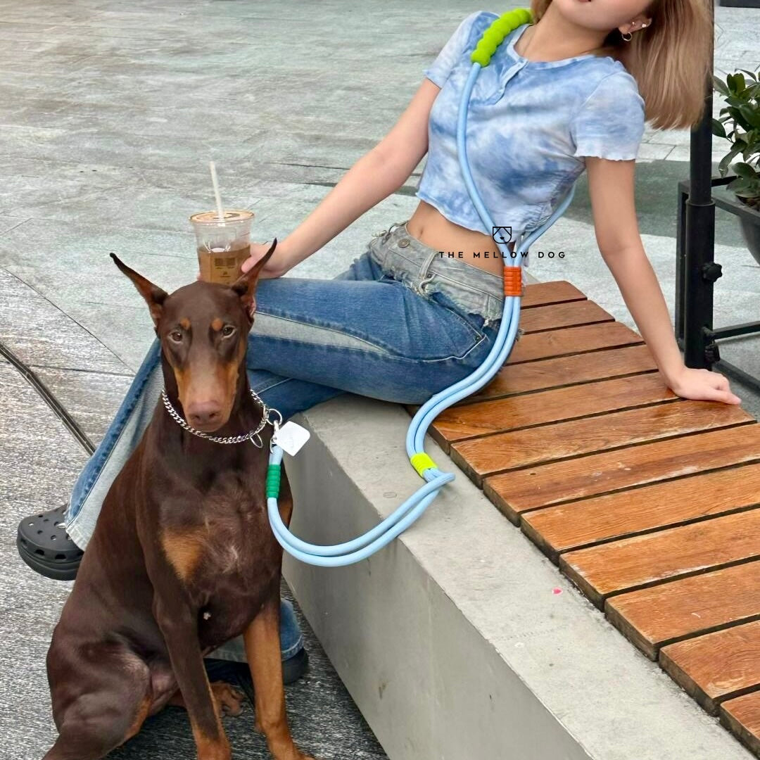 Bubblegum Leash