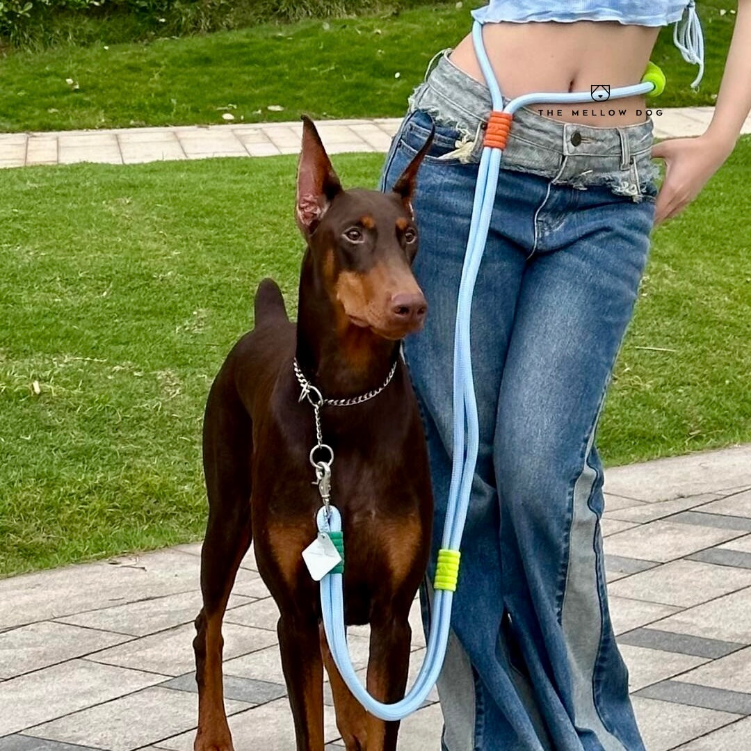 Bubblegum Leash