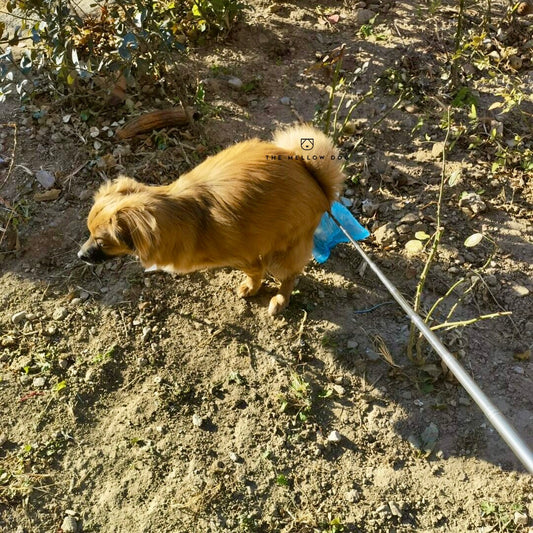 Germ-Free Poop Catcher