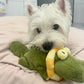 Calming Crocodile