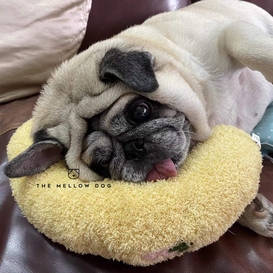 Calming Pillow The Mellow Dog