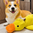 Calming Duck – The Mellow Dog