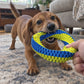 Teeth Cleaning Ring